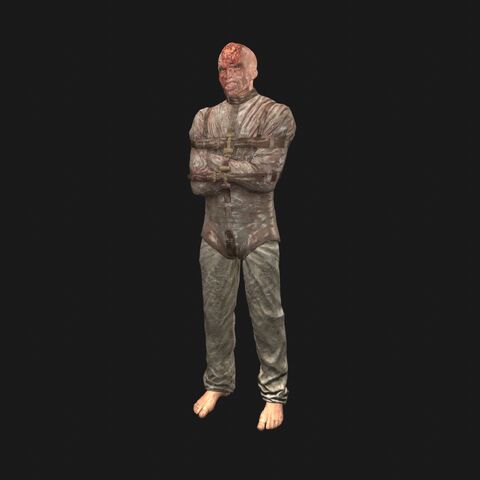 File:Patient12 perspFront.jpeg