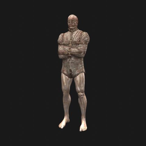 File:Patient15 perspFront.jpeg