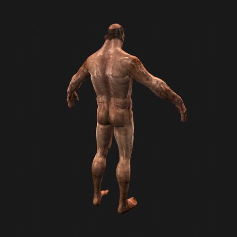 File:TwinA PerspBack.jpeg