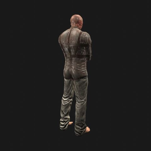 File:Patient12 perspBack.jpeg