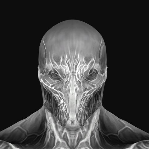 File:WalriderFaceFront.jpeg