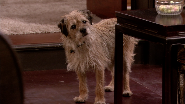 File:1x09Monty.png
