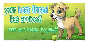 2014-10-03.Canis
