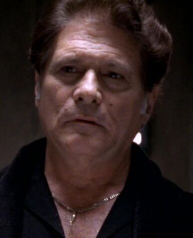 Arquivo:Nino Schibetta.jpg