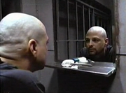 Louis Bevilaqua 3
