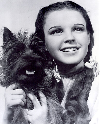 File:Pic13dorothy&tot-bw.jpg