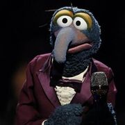 300px-Gonzo-TheVoice-2012