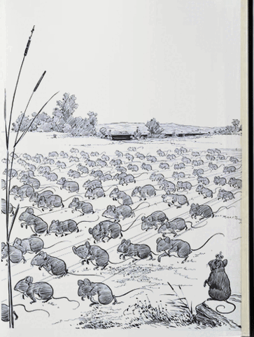File:FieldMice.gif