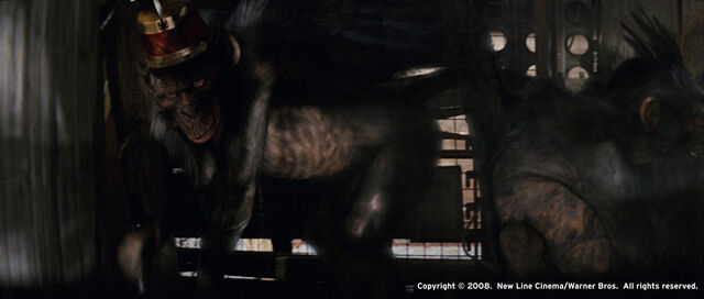 File:Gallery 419 2.jpg