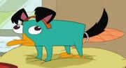 212px-Perry the Puppy