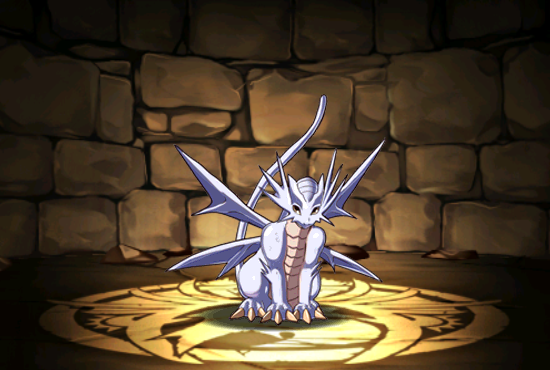 Pet031
