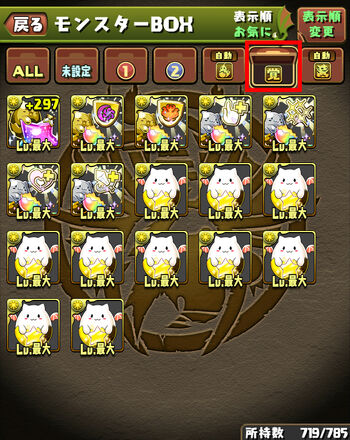 Update11 new13