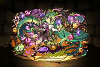 Pet2411.png