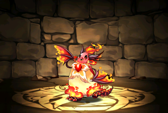 Pet304