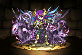 Pet656.png