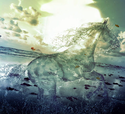 Archivo:Water stallion.jpg