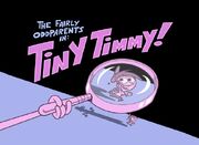 Titlecard-Tiny Timmy-1-
