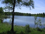 Ahvenjärv