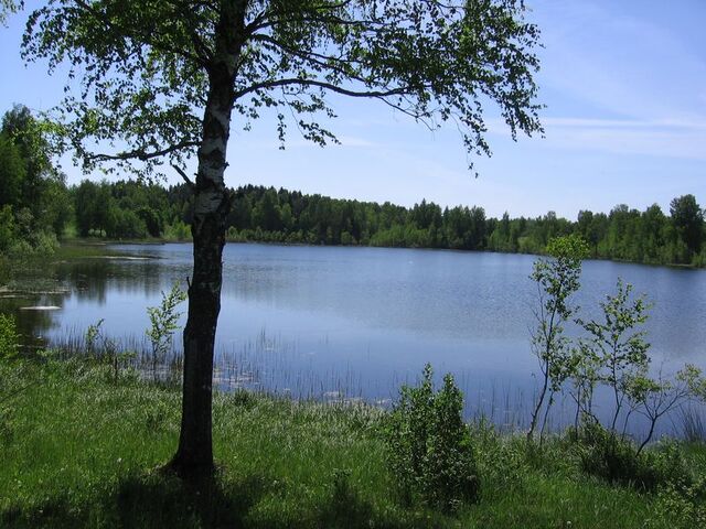 Pilt:Ahvenjärv.jpg