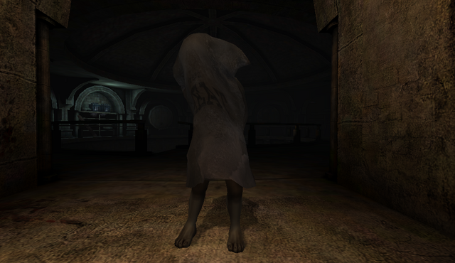 File:Frozen Meat in Orphanage.png