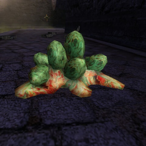 File:Eggs.jpg