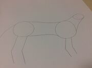 Cat sketch