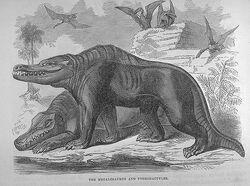 Goodrich Megalosaurus