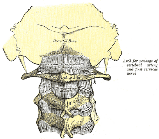 File:Gray305.png