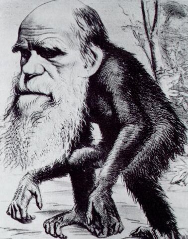 File:Darwin ape.jpg