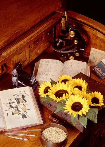 File:Botany.jpg