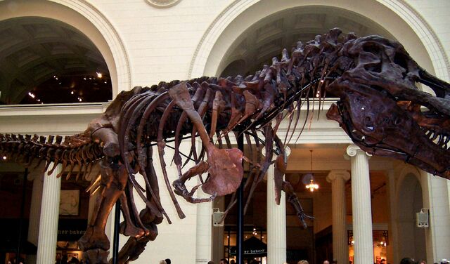 File:TRex3a.jpg