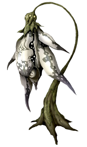 File:Drosera.png