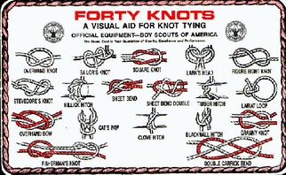 40knots1