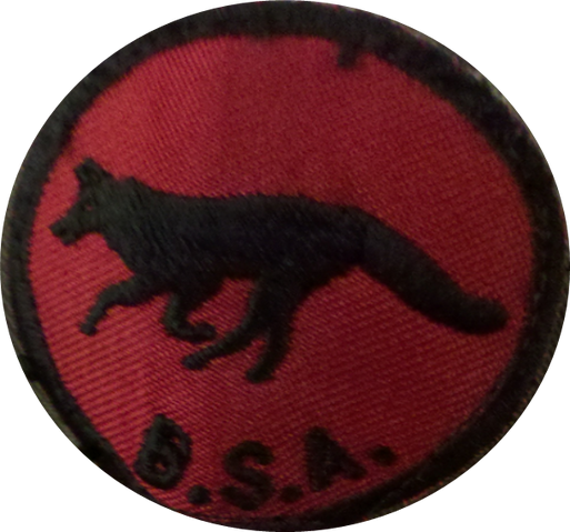 File:Fox.png