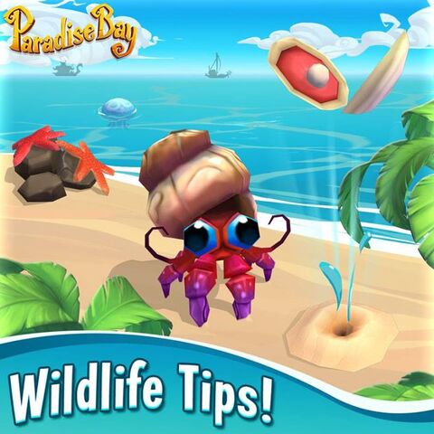 File:WildlifePromo2.jpg