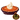 Pumpkin Pie