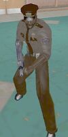 PrivateSecurityOfficer1