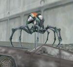 TarantulaQueen1