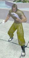 AlleyCat1