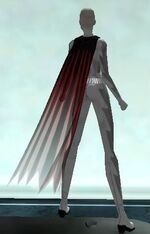 DVD Edition Cape