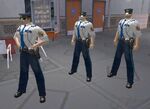 PPDCops1