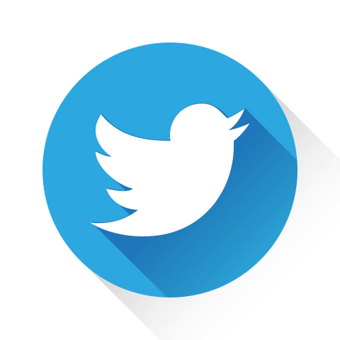 File:TwitIcon.png