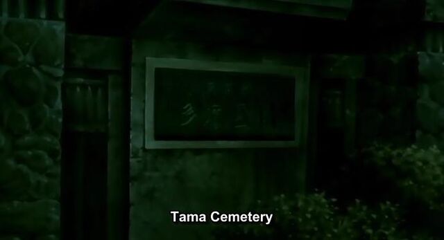 File:TamaCemetery.jpg