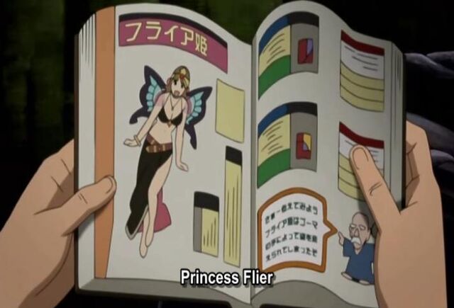 File:PrincessFlier.jpg