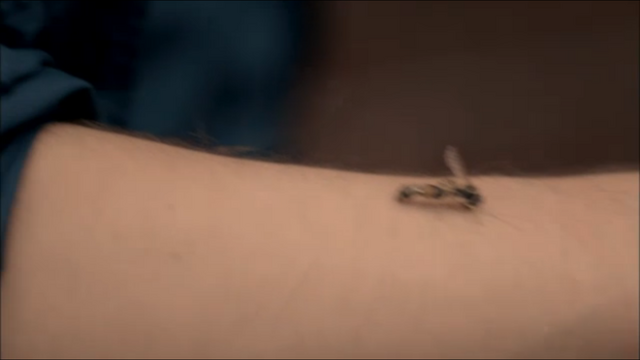 File:Hornet.png