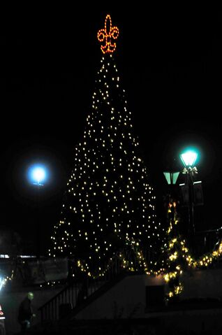 File:Nolatree.jpg