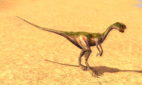 Plik:Owiraptor.JPG