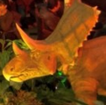 Thumbnail for version as of 01:20, February 29, 2012