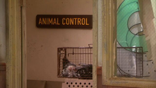 File:Animal Control.jpg