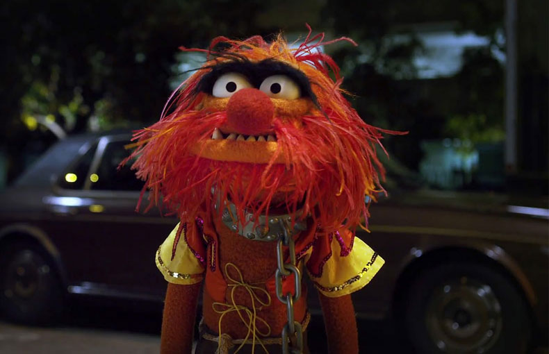 Animal (Muppets) | The Parody Wiki | Fandom powered by Wikia